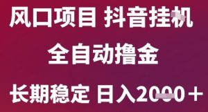 风口项目，六月最新玩法抖音无人挂G，全自动撸金，长期稳定 日入2k+【揭秘】-学习笔记资源库