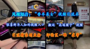 凡视知音:“香车美女”视频引流术,依靠鲜为人知的视频入口,搬运“高端圈子”视频,引流精准创业粉,评论区一堆“求带”-学习笔记资源库