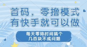 首码零撸项目,有快手就可以做,每天业务时间搞个几张不是问题【揭秘】-学习笔记资源库
