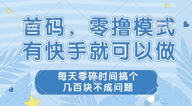 首码零撸项目，有快手就可以做，每天业务时间搞个几张不是问题【揭秘】-学习笔记资源库