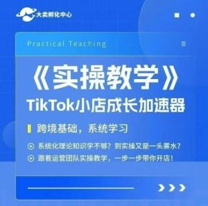 大卖家孵化中心TikTok实操课，TikTok小店成长加速器，跨境基础系统学习，一步一步带你开店-学习笔记资源库