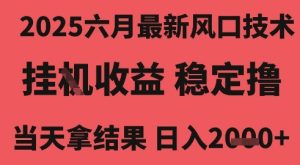 2025六月最新风口技术,无人挂G撸礼物,长期稳定 一个小时收益2k+,小白当天拿结果【揭秘】-学习笔记资源库