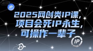 2025网创类IP课,项目会死IP永生,可操作一辈子-学习笔记资源库