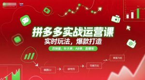 拼多多实战运营课,实时玩法,爆款打造,改销量,补大单,AB单,直播等(更新2025月)-学习笔记资源库