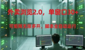 外卖浏览2.0,单窗口30+可矩阵无限多开,脚本全自动运行【揭秘】-学习笔记资源库