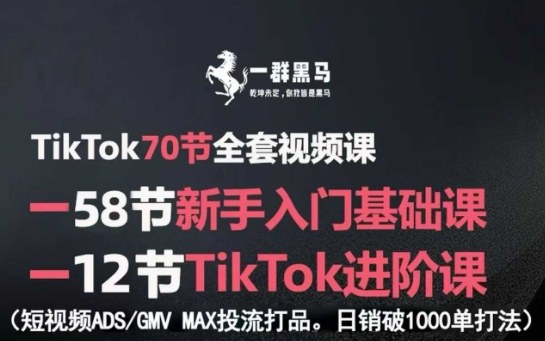 TikTok全套视频课，新手入门+进阶课，短视频ADS-GMV MAX投流打品，日销破1000单打法-学习笔记资源库