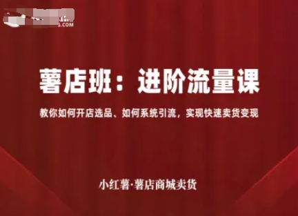 小红薯薯店商城卖货，进阶流量课，教你如何开店选品、如何系统引流，实现快速卖货变现-学习笔记资源库