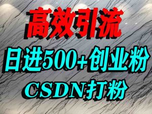 怎么打创业粉?CSDN又一个你不知道的打粉引流神秘平台,单人日引500+精准流量-学习笔记资源库