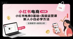 小红书电商0基础+高级运营课,新人小白必学方法,实操教学+案例分析-学习笔记资源库