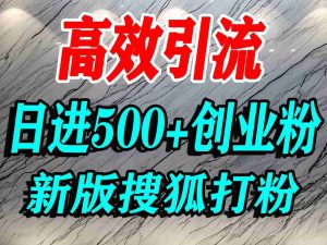 怎么打创业粉?搜狐网打精准创业粉,打粉引流教程,单人日引500+精准创业粉-学习笔记资源库