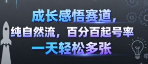 成长感悟赛道,纯自然流,百分百起号率 一天轻松多张-学习笔记资源库