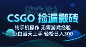 8月最新游戏搬砖,CSGO纯挂G,不需要玩游戏,实现真挂G,月入1W+【揭秘】-学习笔记资源库