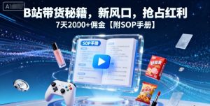 B站带货秘籍,新风口,抢占红利,7天2k+佣金【附SOP手册】-学习笔记资源库