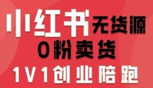 小红书无货源0粉电商课,开店准备、选品策略、笔记撰写、视频剪辑、数据分析、账号打造、资料文档-学习笔记资源库