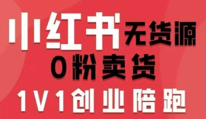 小红书无货源0粉电商课，开店准备、选品策略、笔记撰写、视频剪辑、数据分析、账号打造、资料文档-学习笔记资源库