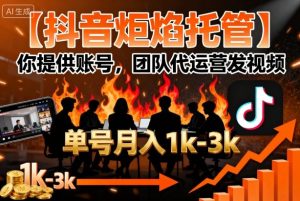 【抖音炬焰托管】你提供账号,团队代运营发视频,单号月入1k+【揭秘】-学习笔记资源库