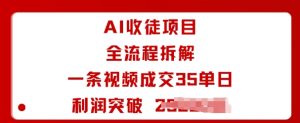 AI收徒项目全流程拆解一条视频成交35单日利润突破1k+-学习笔记资源库