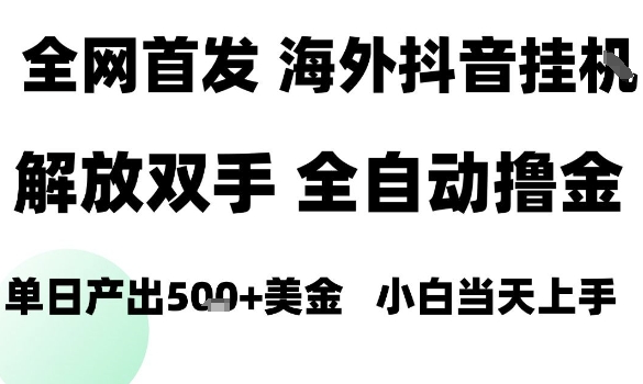海外抖音无人直播，单日产出1.5k+，长期稳定，新手可玩，无脑操作【揭秘】-学习笔记资源库