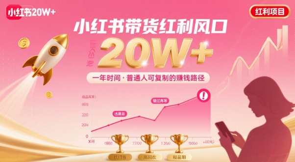 一年时间靠小红书带货项目年入20w+，最不能错的大红利项目-学习笔记资源库