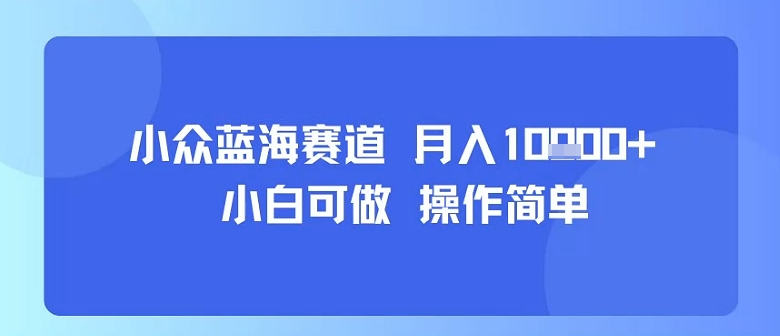 小众蓝海赛道，小白可做，操作简单，每天30分钟，月入1W+-学习笔记资源库