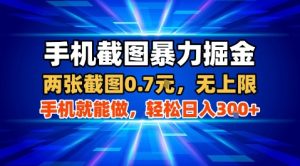 手机截图暴力掘金,两张截图0.7米,一部手机就能做,轻松日入3张+【揭秘】-学习笔记资源库