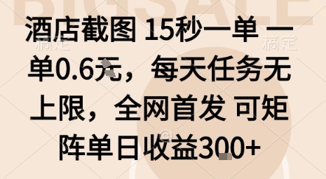 酒店截图15秒一单，一单0.6米，每天任务无上限，全网首发可矩阵单日收益3张【揭秘】-学习笔记资源库