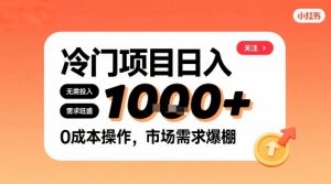 在小红书上发现个冷门路子,需求不小,零成本操作,每天能有1k进账-学习笔记资源库