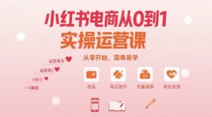 小红书电商从0到1实操运营课,从零开始,简单易学-学习笔记资源库