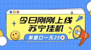 苏宁全自动采集挂G项目 稳定可批量 单窗口收益30+ 附教程【揭秘】-学习笔记资源库