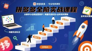 拼多多全阶实战课程,从新手小白到运营高手,海量实战玩法+全年实时更新【2025年9月更新】-学习笔记资源库
