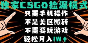 CSGO自动捡漏项目,最新独家玩法,不是美区搬砖,不需要了解和玩游戏,新手小白轻松月入1W+【揭秘】-学习笔记资源库