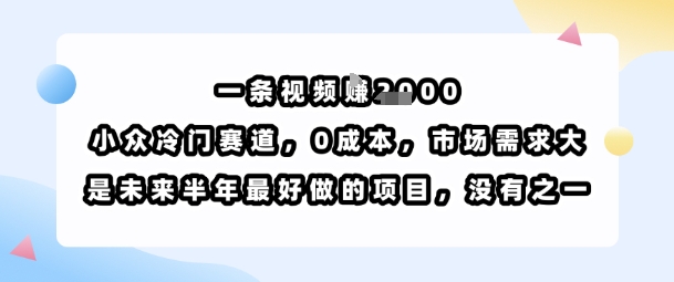 一条视频挣1k，小众冷门赛道，0成本，市场需求大，是未来半年最好做的项目，没有之一-学习笔记资源库