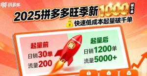 2025拼多多旺季新老店铺——快速低成本起量破千单-学习笔记资源库