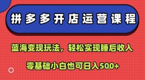 拼多多开店运营课程:蓝海变现玩法,轻松实现睡后收入,零基础小白也可日入5张-学习笔记资源库
