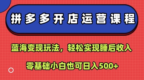 拼多多开店运营课程：蓝海变现玩法，轻松实现睡后收入，零基础小白也可日入5张-学习笔记资源库