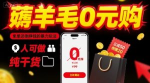 薅羊毛0元购,免单还倒挣钱的暴力玩法,人人可做,纯干货-学习笔记资源库