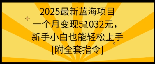 2025最新蓝海项目一个月变现1w+新手小白也能轻松上手【附全套指令】-学习笔记资源库