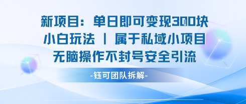 新项目单日即可变现3张的小白玩法无脑操作不封号安全引流-学习笔记资源库