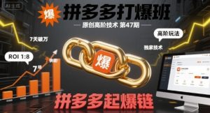 拼多多打爆班原创高阶技术第47期,拼多多起爆链-学习笔记资源库