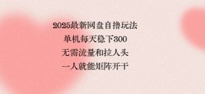 2025最新网盘自撸玩法,单机每天稳下3张,无需流量和拉人头,一个人就可轻松矩阵,全网独一份【揭秘】-学习笔记资源库