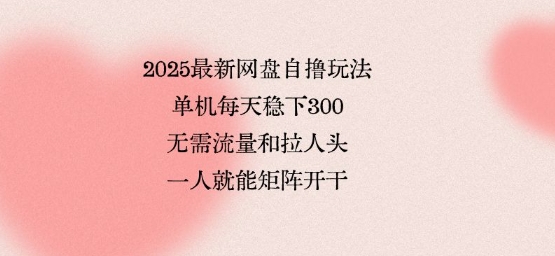 2025最新网盘自撸玩法，单机每天稳下3张，无需流量和拉人头，一个人就可轻松矩阵，全网独一份【揭秘】-学习笔记资源库