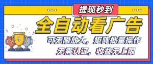 全自动看广告项目,可无限放大,可矩阵批量操作-学习笔记资源库