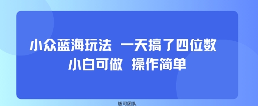 小众蓝海玩法 一天搞了四位数 小白可做 操作简单-学习笔记资源库