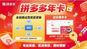 拼多多年卡【8月更新6节】拼多多全链路运营底层逻辑,超级爆单术-学习笔记资源库