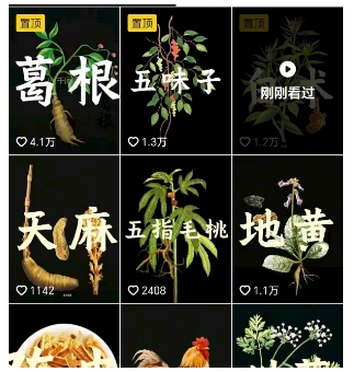 抖音中草药赛道，用AI做中草药故事视频，45条作品涨粉13W，橱窗带货猛猛出单-学习笔记资源库