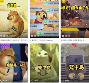 狗头幸运星UE5动画全套课程,从入门到实操全掌握-学习笔记资源库