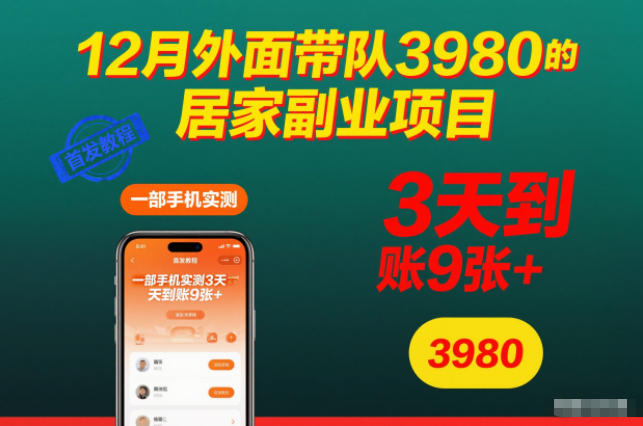 12月外面带队3980的居家副业项目，一部手机实测3天到账9张+，首发教程【揭秘】-学习笔记资源库