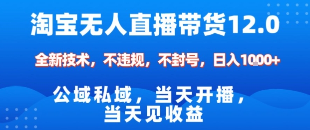 淘宝无人直播12.0，公域私域技术，不封号，不违规布局双十一流量风口，日入1k（独家技术）【揭秘】-学习笔记资源库