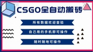 CSGO全自动搬砖，年底钱回家好项目，当天可拿到结果，新手小白轻松月入1W+【揭秘】-学习笔记资源库