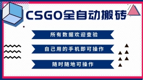 CSGO全自动搬砖，年底钱回家好项目，当天可拿到结果，新手小白轻松月入1W+【揭秘】-学习笔记资源库